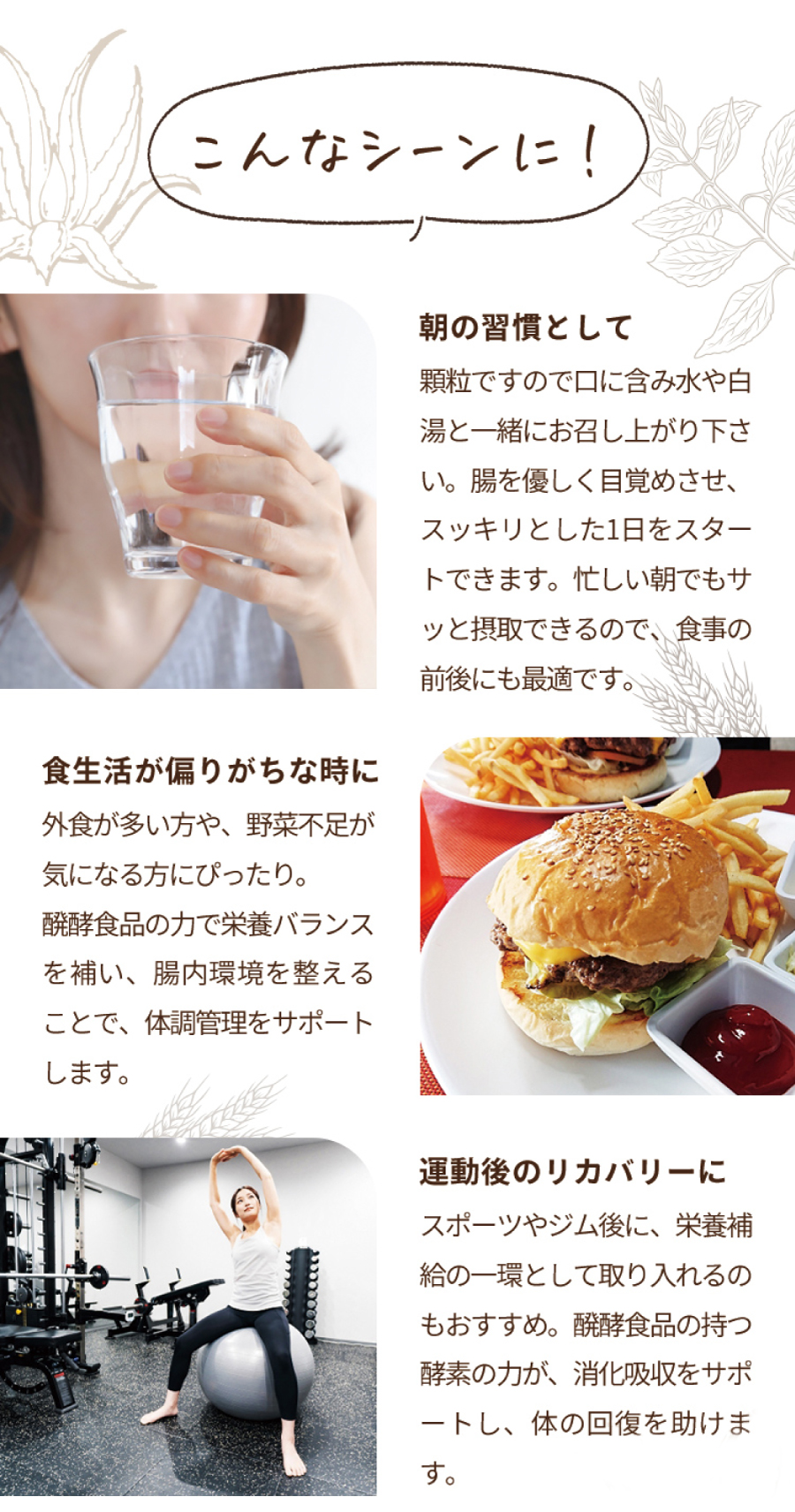 お召し上がり方（タイミング）