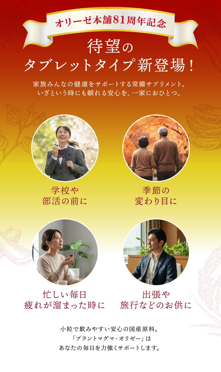 ���ʲ���3