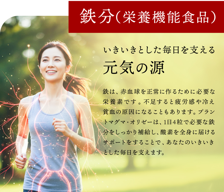 ���ʲ���4