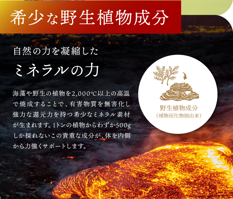 ���ʲ���5