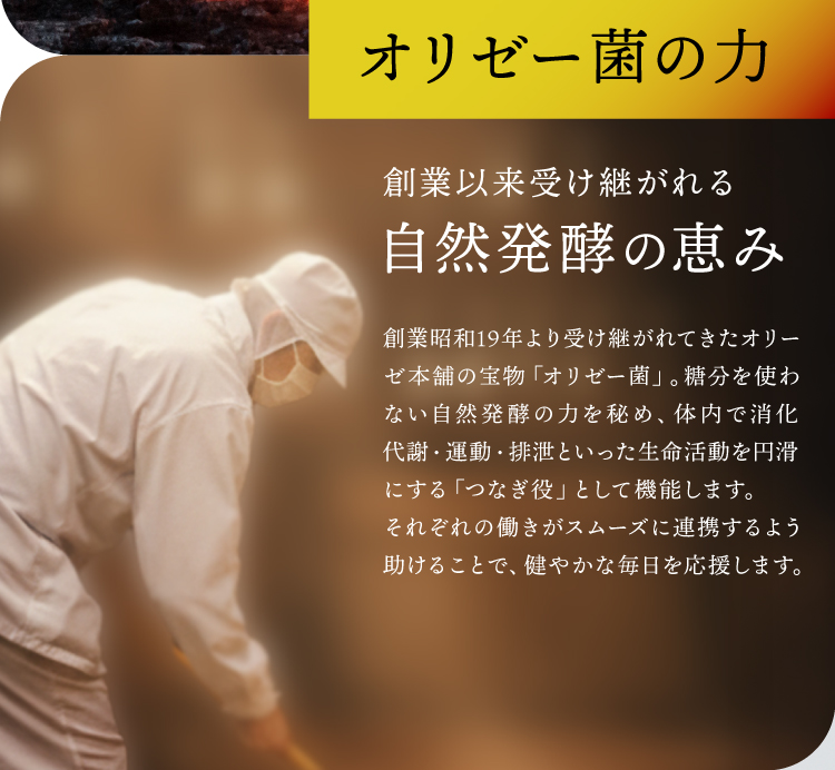 ���ʲ���6