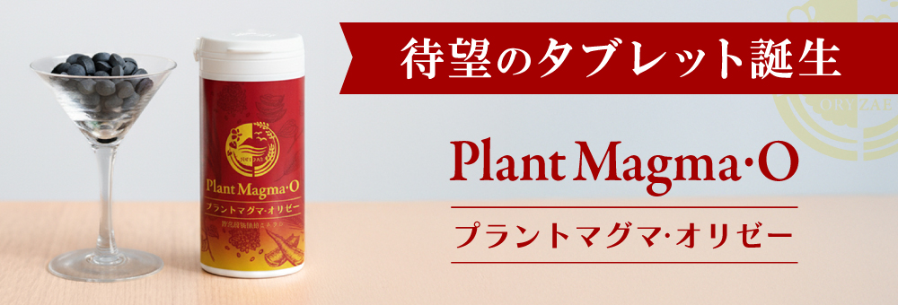 プラントマグマ・オリゼー