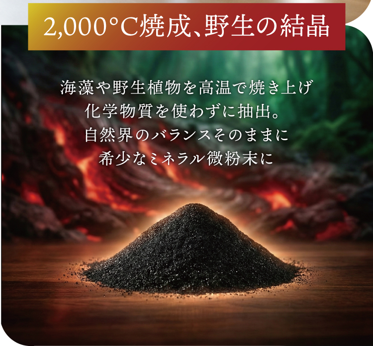 ���ʲ���4